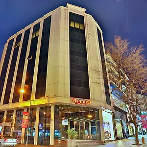 Hotel Grand Madrid ***